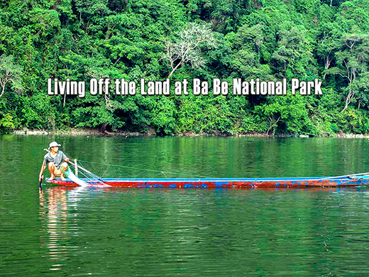 Living Off the Land at Ba Be National Park