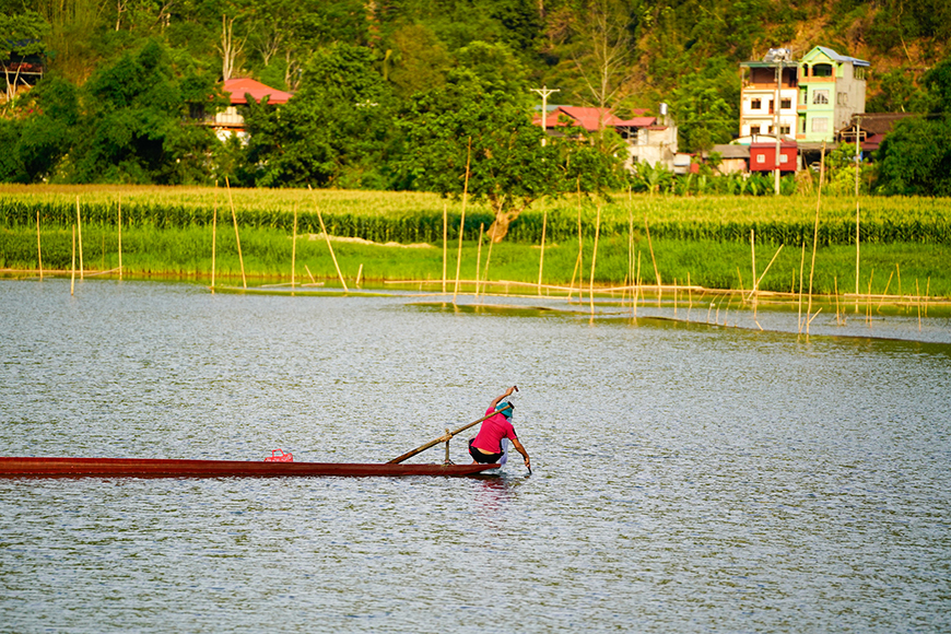 pirogue