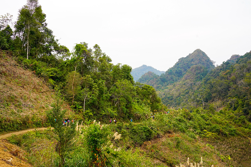 trekking