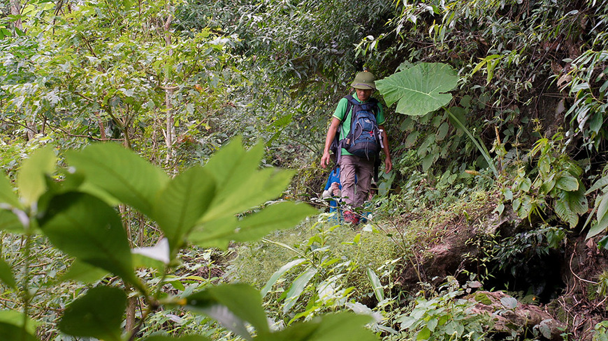 Express jungle life in Ba Be National Park